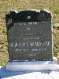 image of grave number 746556